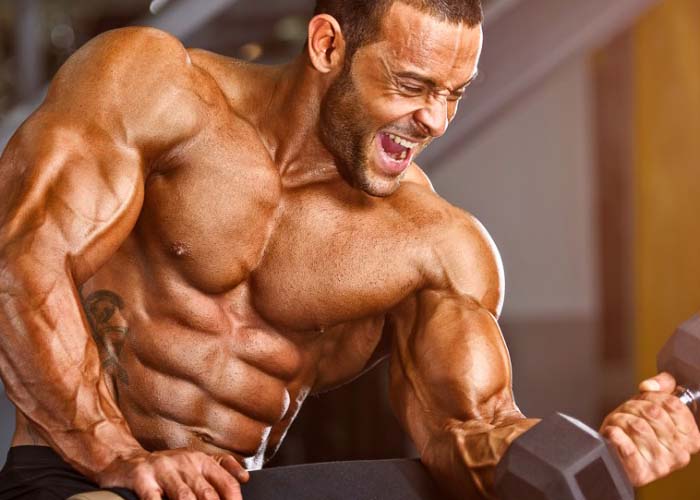 Biceps Training and Anatomy for Dummies - Shred Apps